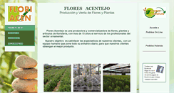 Desktop Screenshot of floresacentejo.com